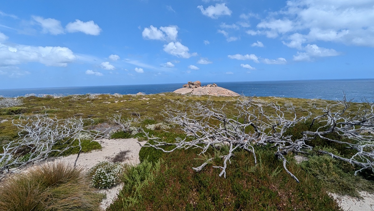 Remarkable Rocks i Flinders Chase National Park 